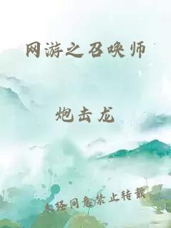 網(wǎng)游之召喚師